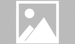 娱乐圈吃瓜橙子,揭秘吃瓜橙子的幕后故事