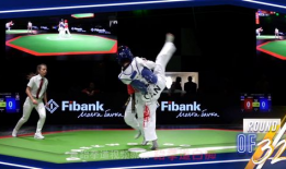 跆拳道视频,从视频中汲取精华